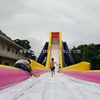 The world's biggest hippo water slide / inflatable beach water slide / slip N slide for sale in stock