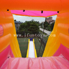 The world's biggest hippo water slide / inflatable beach water slide / slip N slide for sale in stock